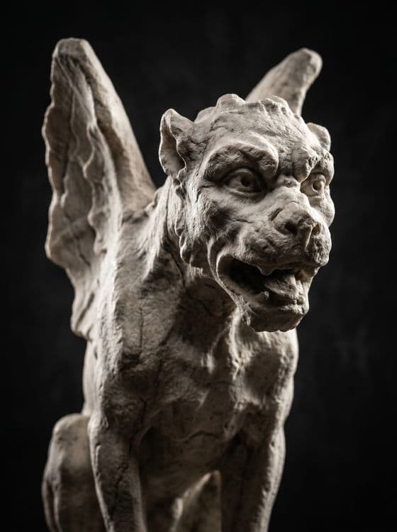 Guardian of the Gothic Night