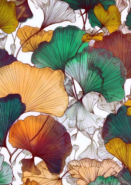 Ginko BIloba 4 #nature