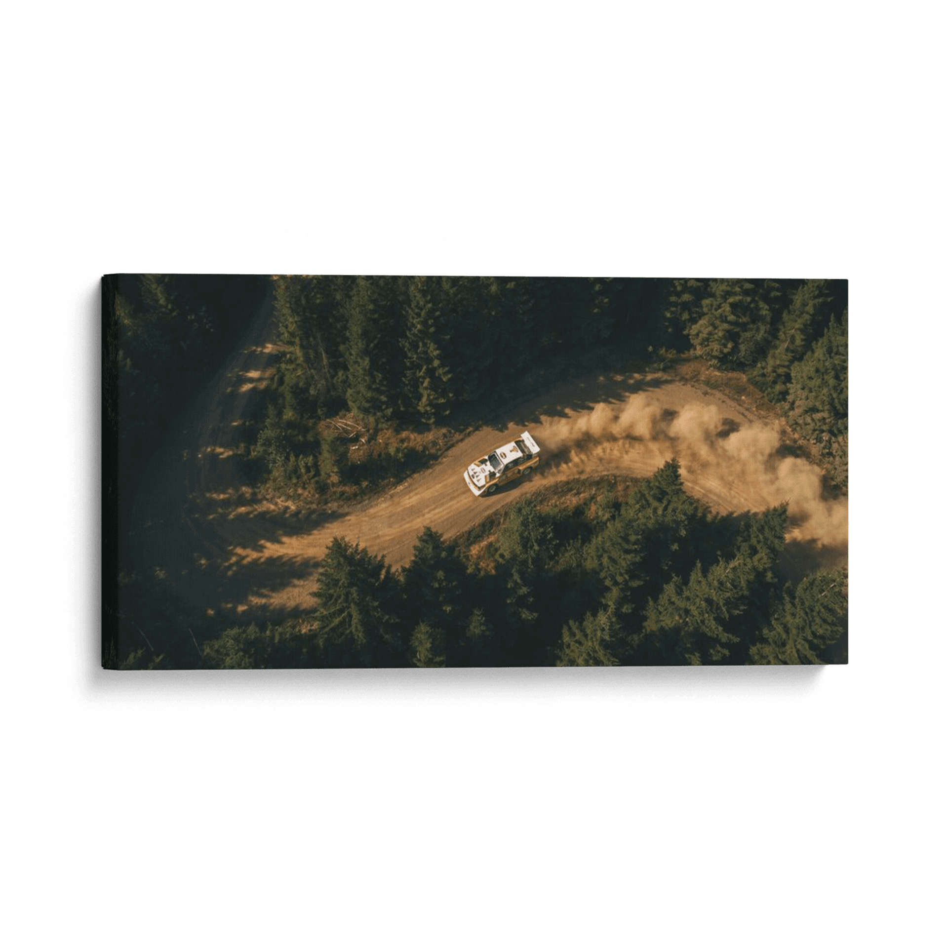 Group B Legend: Audi Sport Quattro S1 Forest Drift