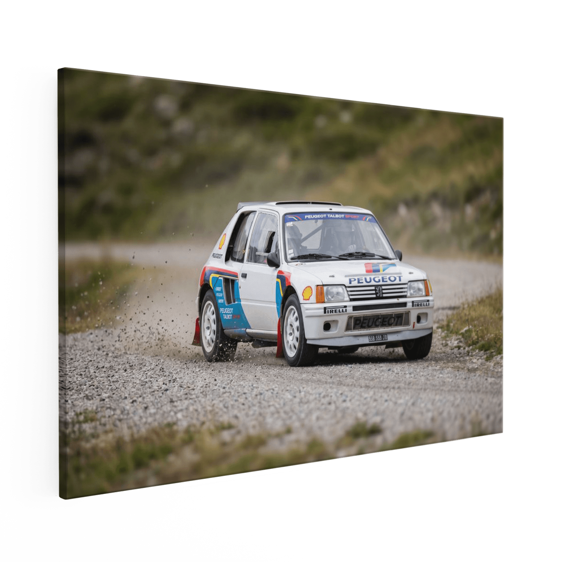Gravel Charge - Peugeot 205 T16 Rally Action