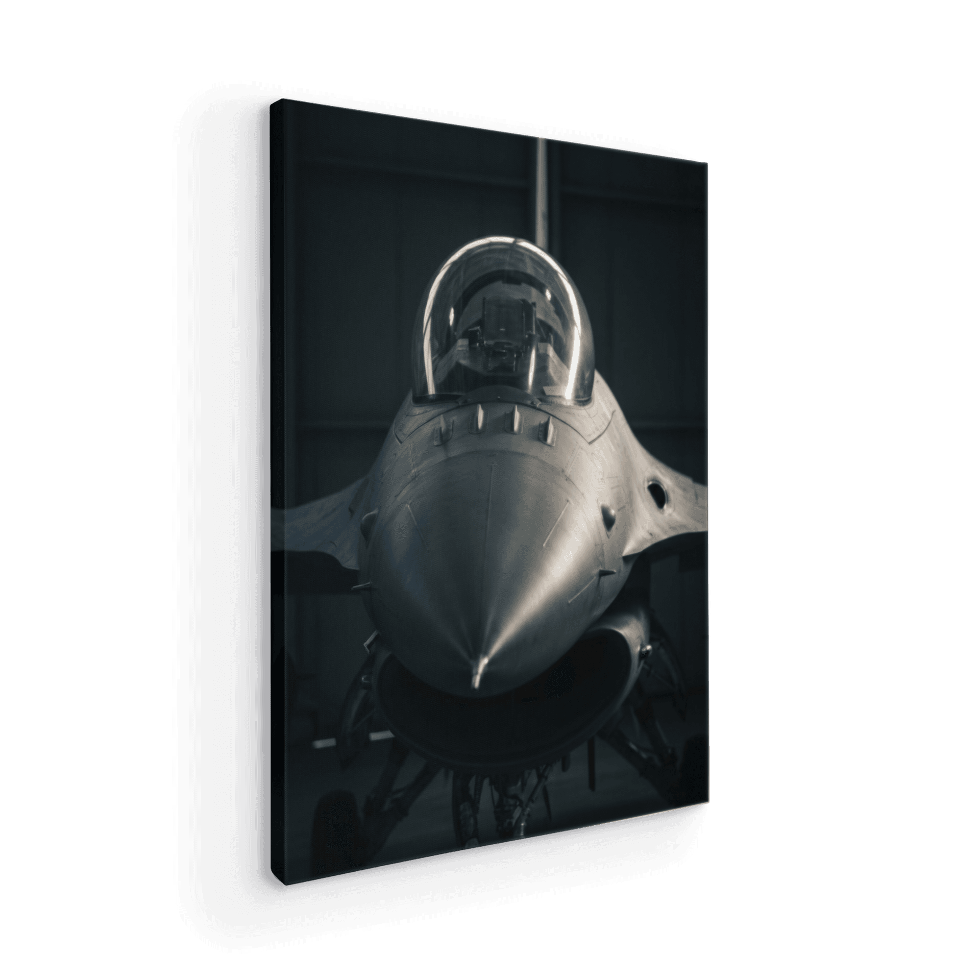F-16 Fighting Falcon Front Portrait
