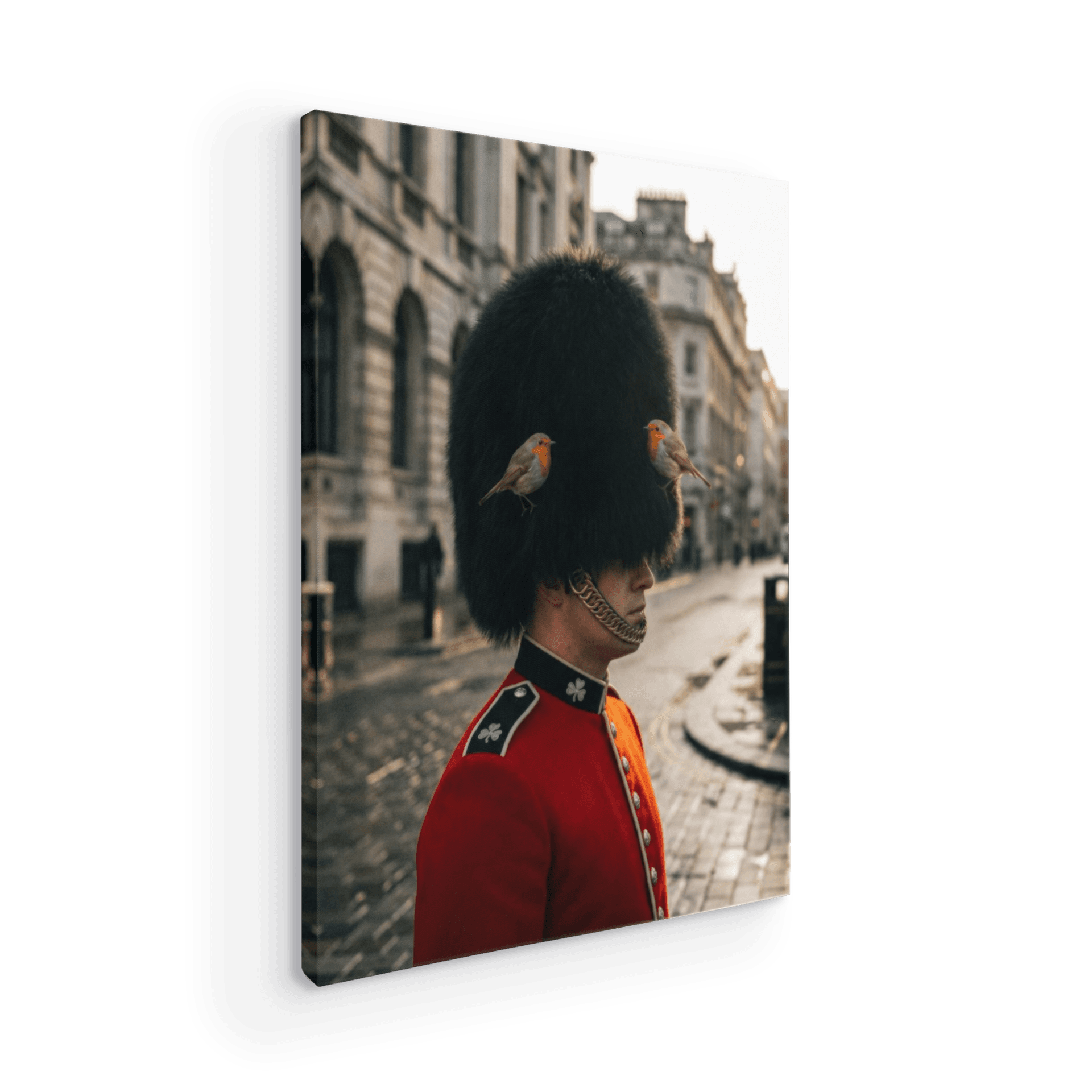 The Guard's Companions: British Guard with Robins