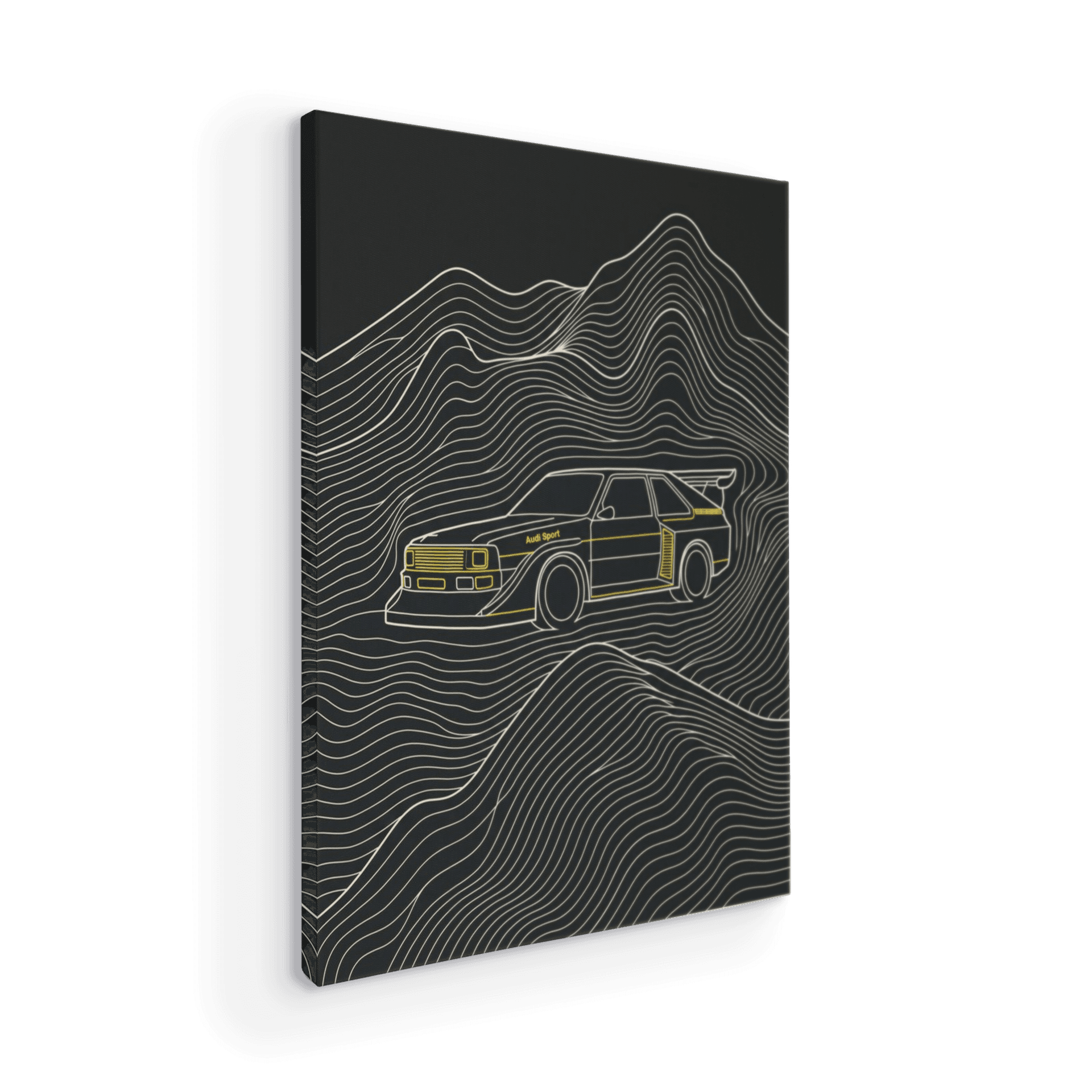Quattro S1 Topographic Line Art