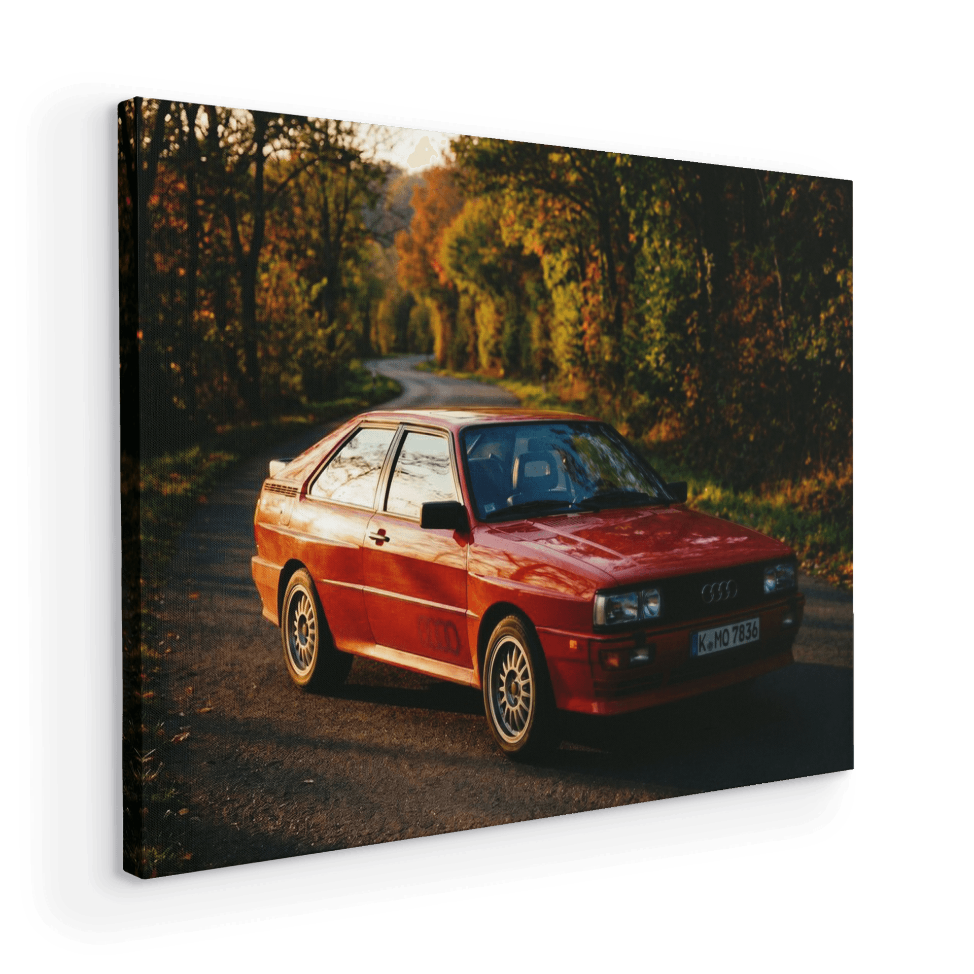 Audi Quattro Autumn Forest Road Golden Hour Portrait