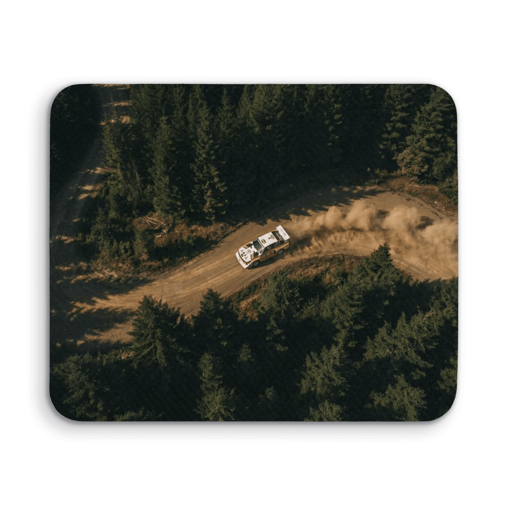Group B Legend: Audi Sport Quattro S1 Forest Drift