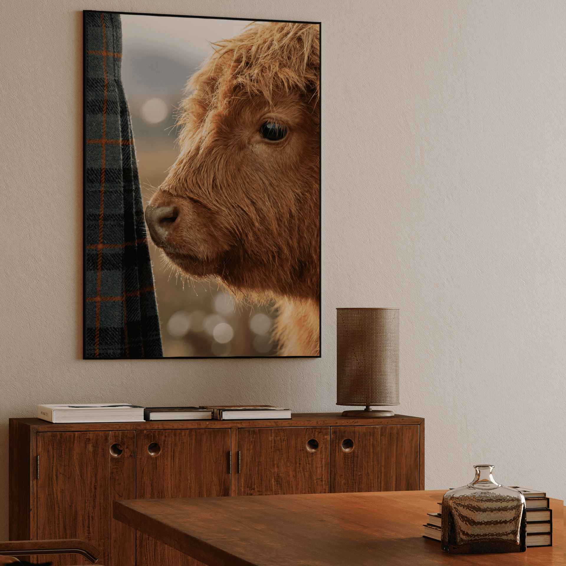 Tartan Companion - Close-Up Highland Cow Calf Photo