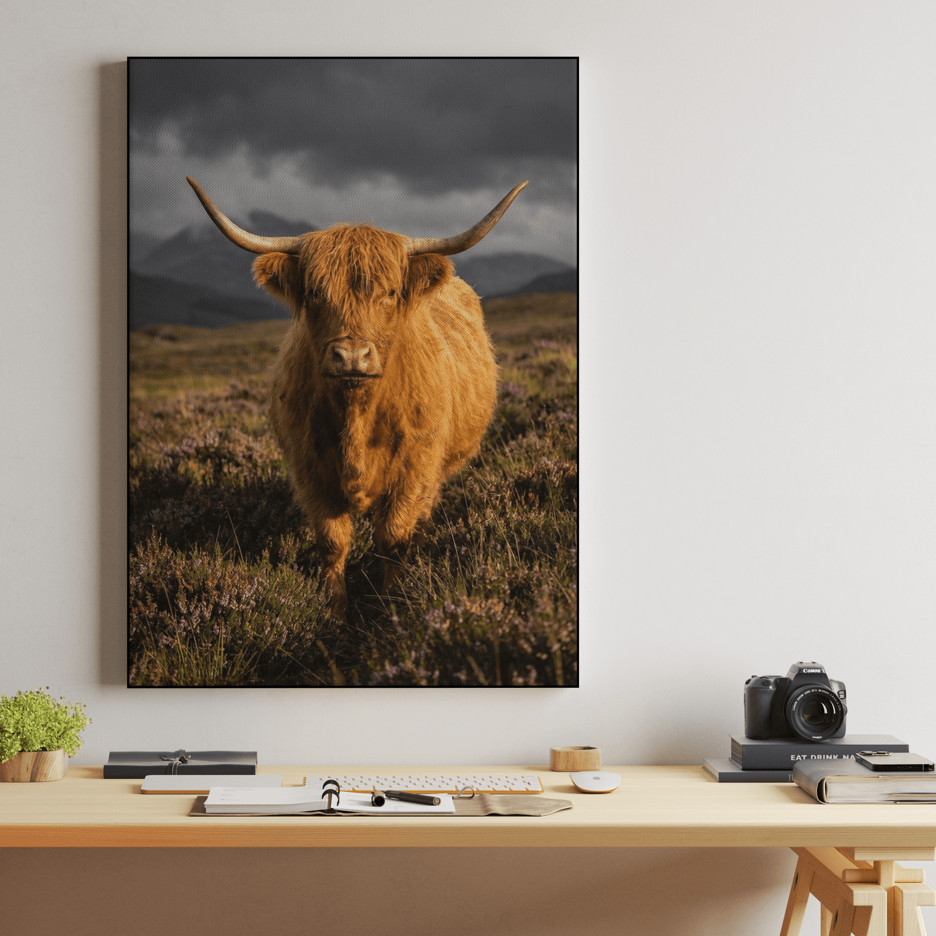 Golden Hour Highland Cow: Scottish Animal Portrait