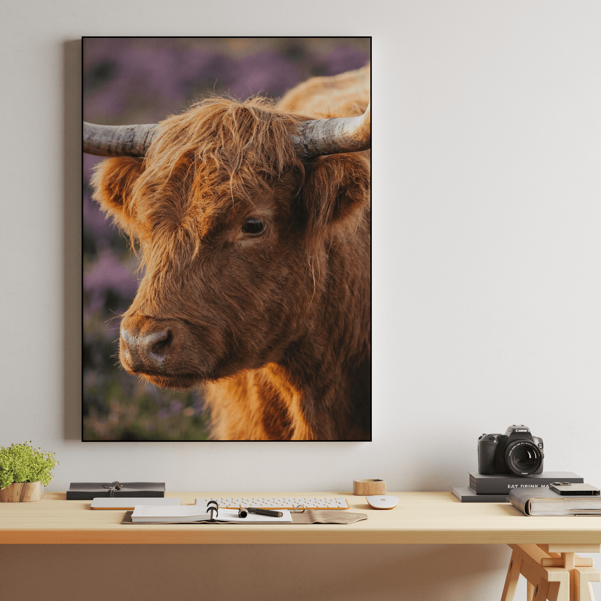 Golden Hour Highland Cow: Scottish Animal Portrait