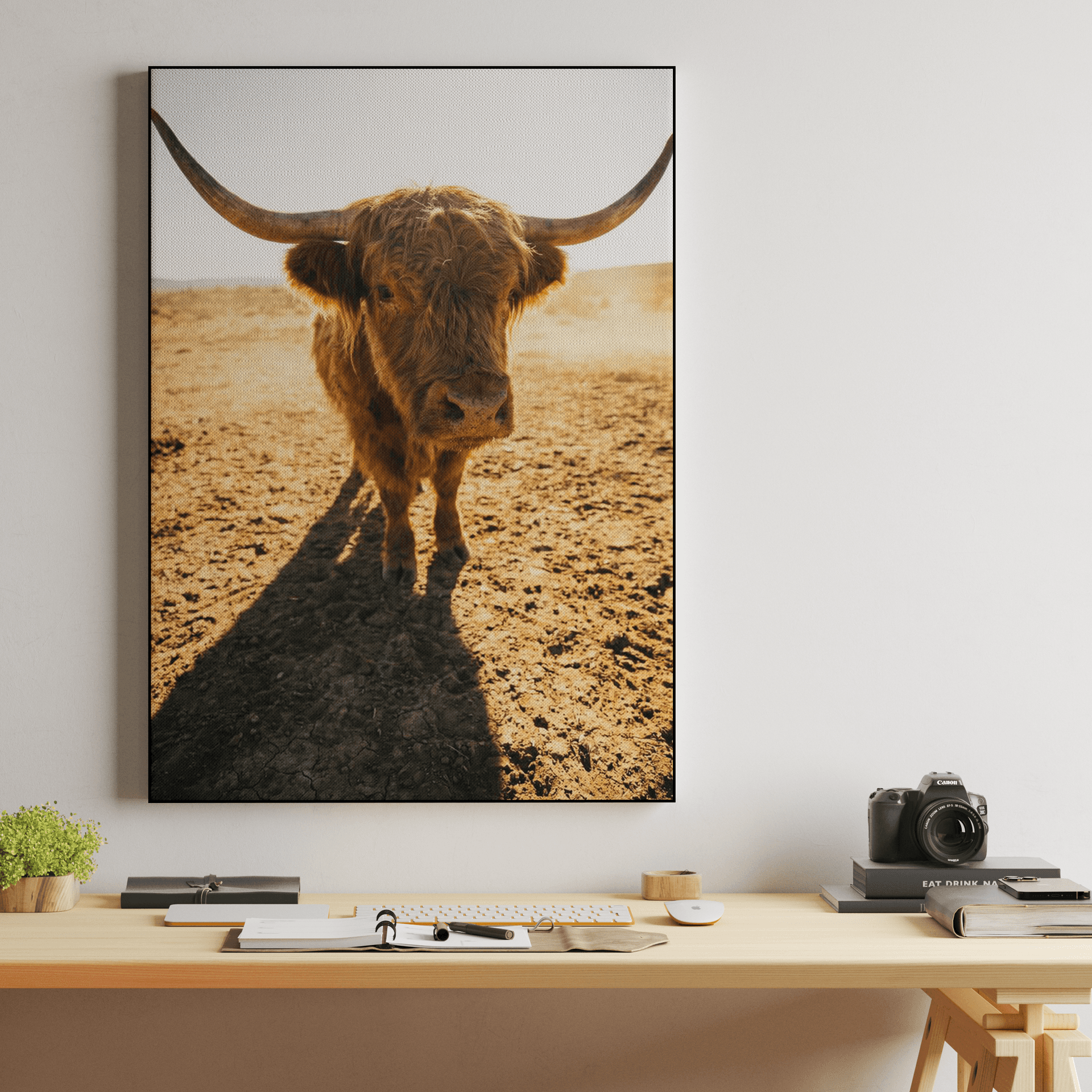 Dusty Golden Ranch: Highland Cow Portrait