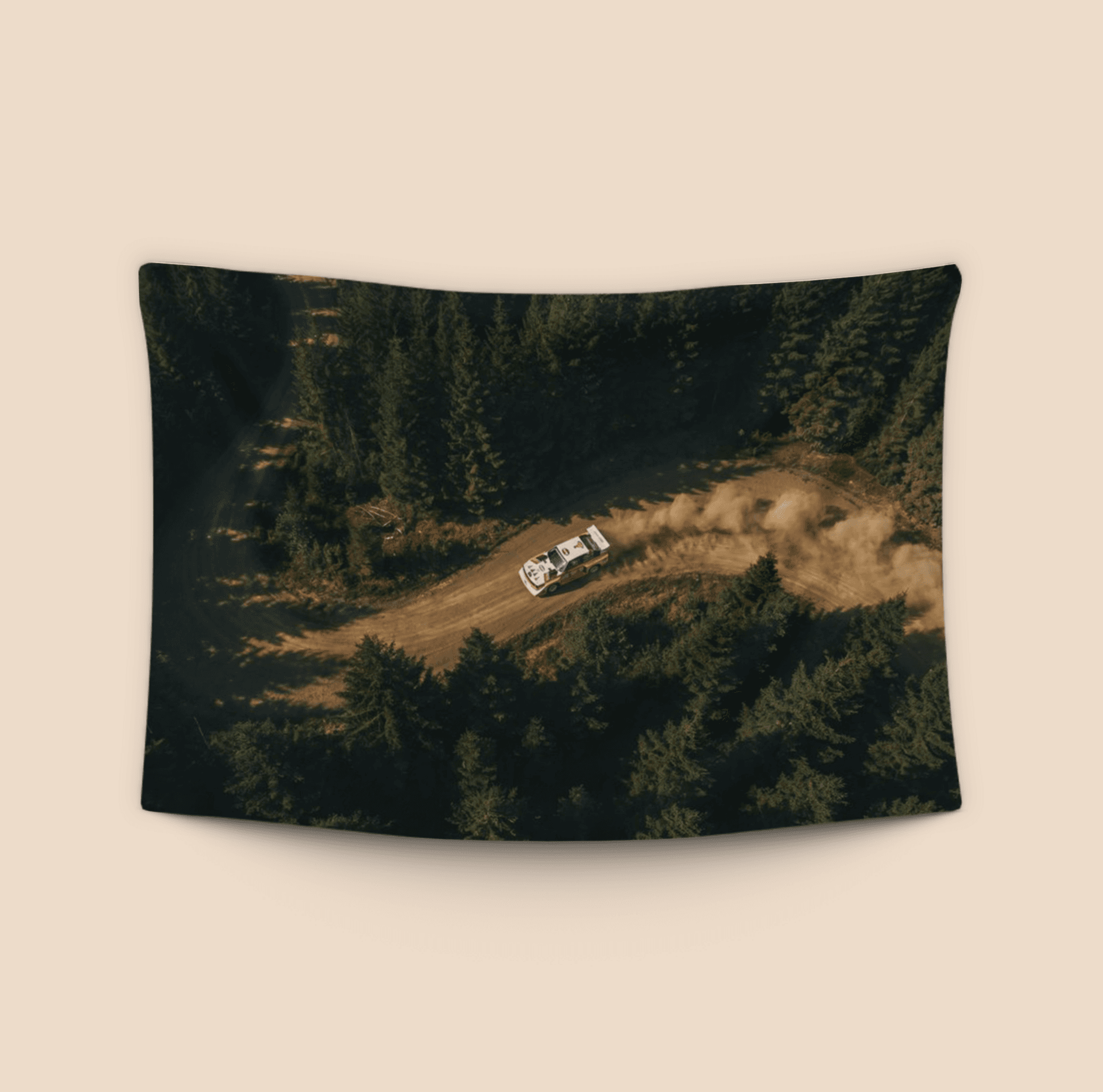 Group B Legend: Audi S1 E2 Forest Drift