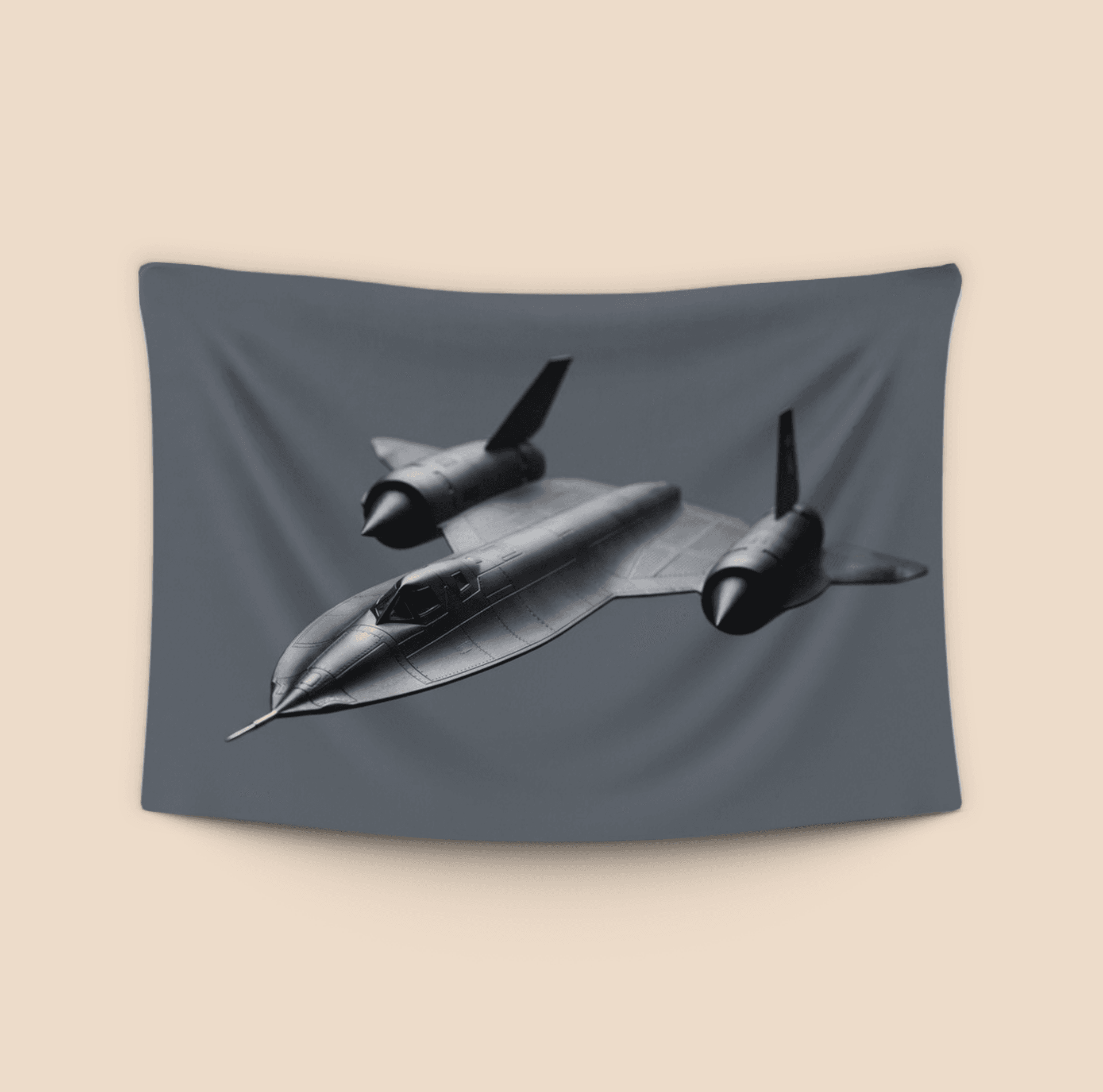 Sleek Titanium SR-71 Blackbird
