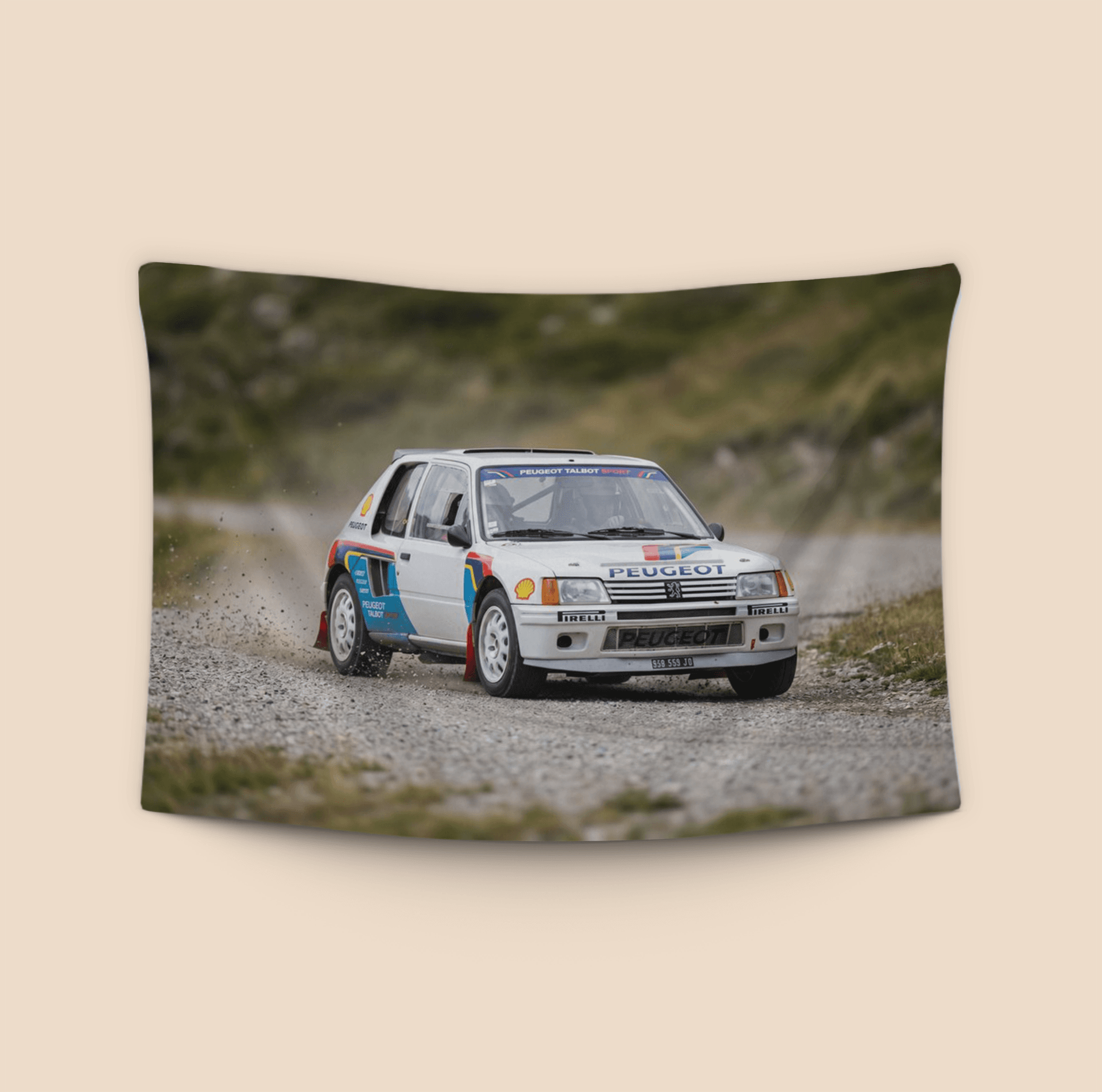 Gravel Charge - Peugeot 205 T16 Rally Action