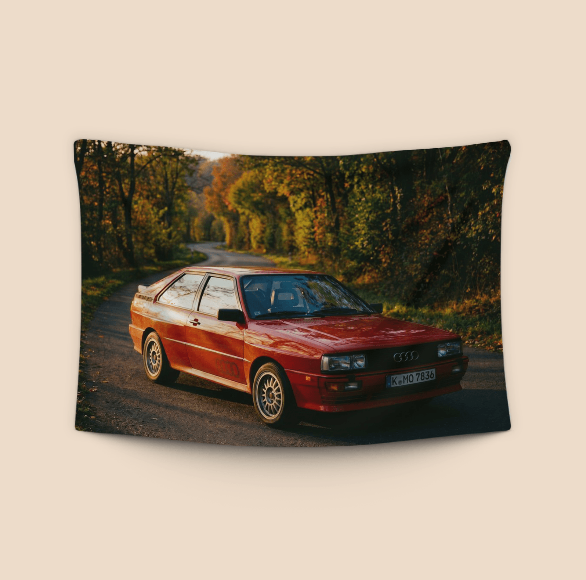 Audi Quattro Autumn Forest Road Golden Hour Portrait
