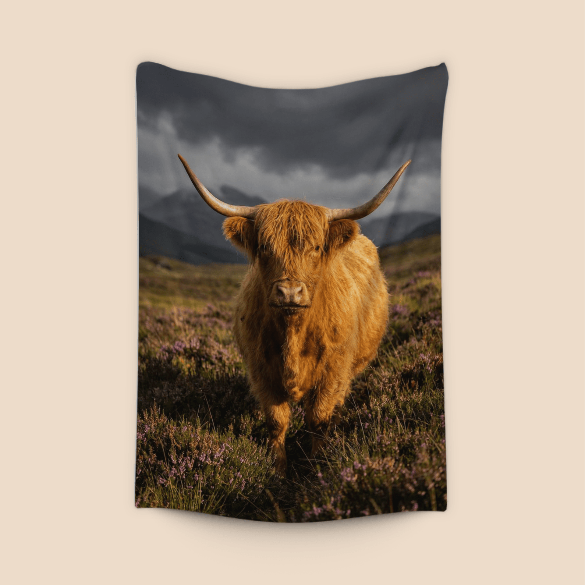 Golden Hour Highland Cow: Scottish Animal Portrait