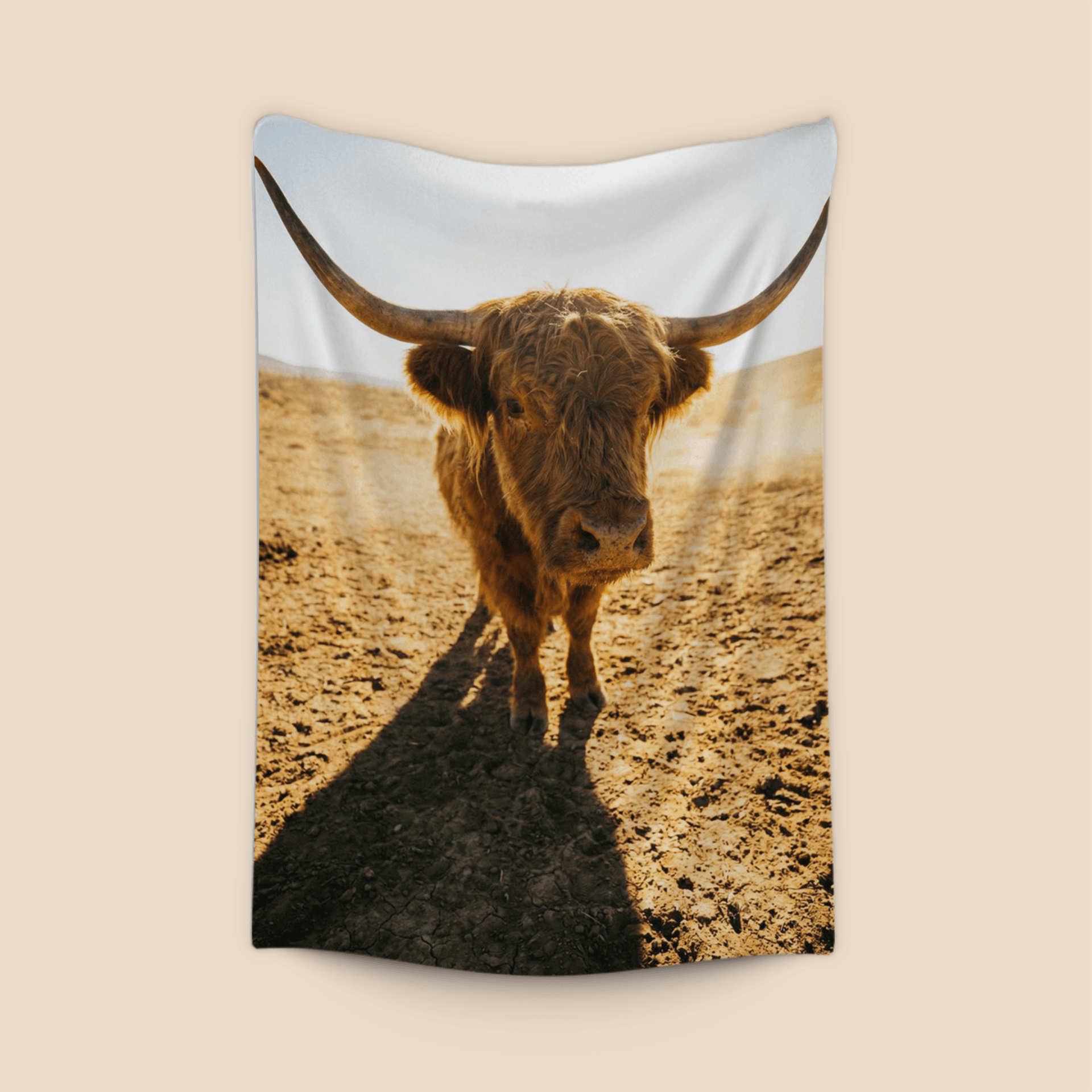 Dusty Golden Ranch: Highland Cow Portrait