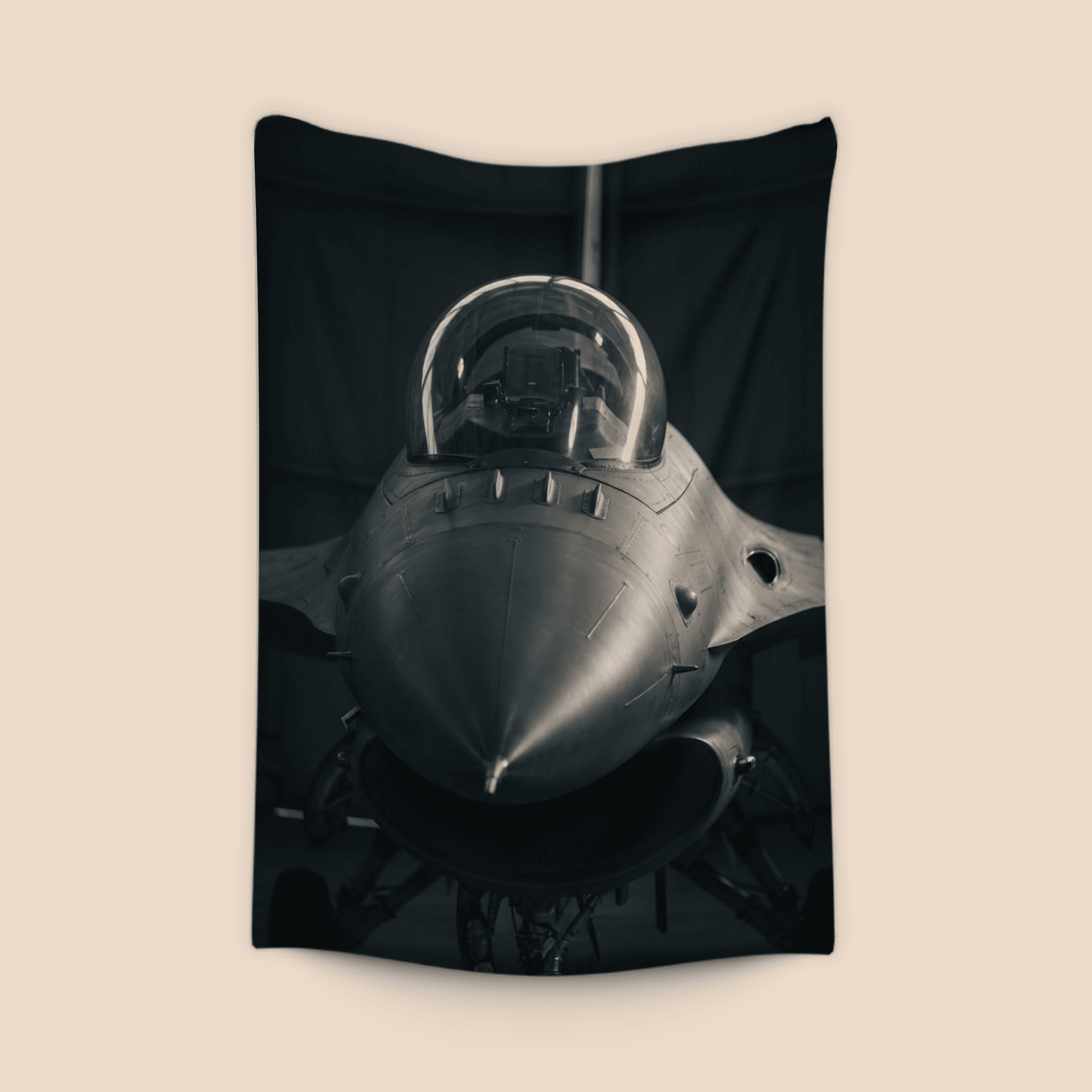 F-16 Fighting Falcon Front Portrait