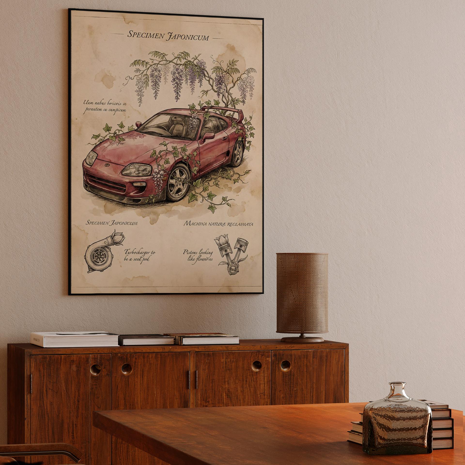 Specimen Japonicum: Reclaimed Supra Illustration