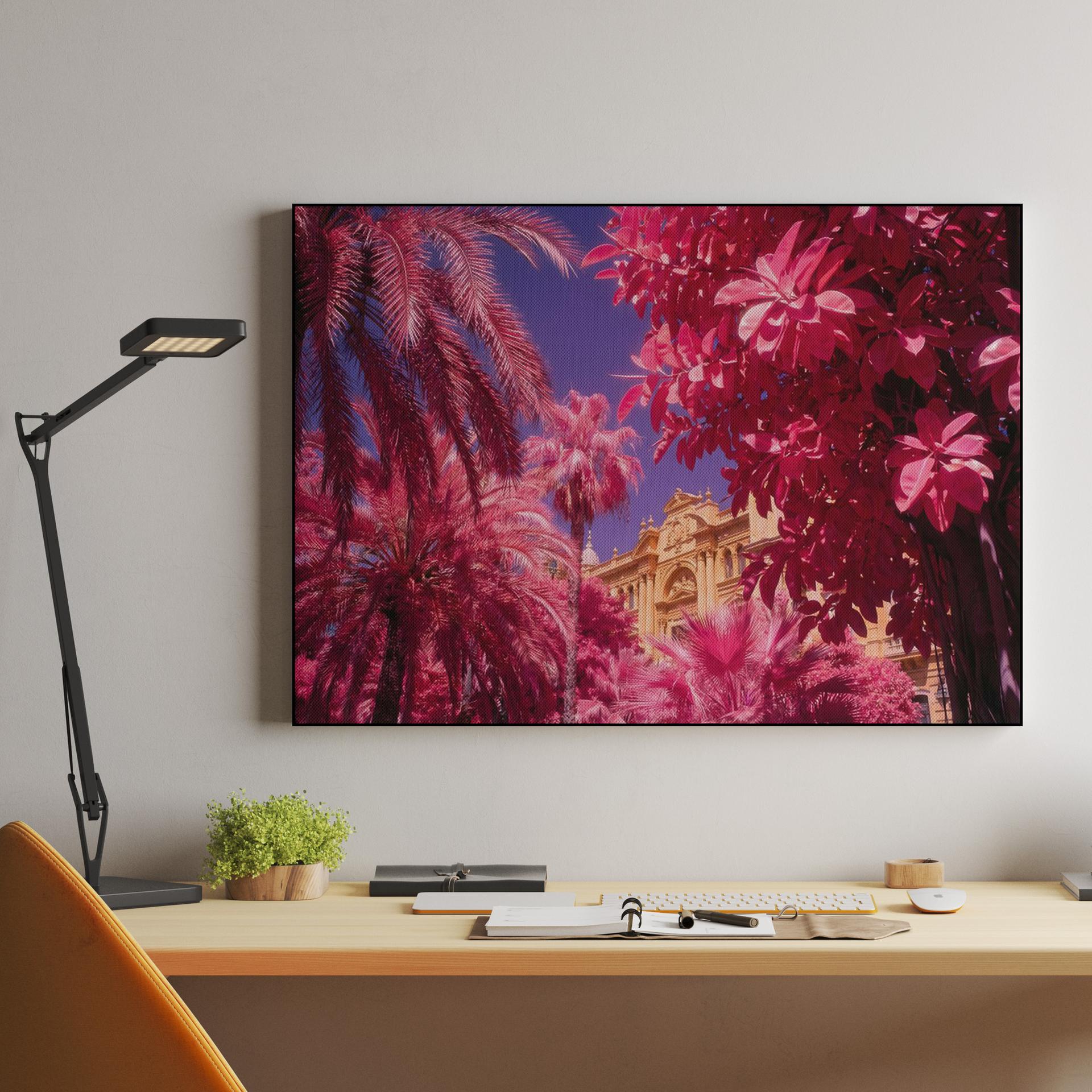 Magenta Palms: Infrared Málaga City Hall