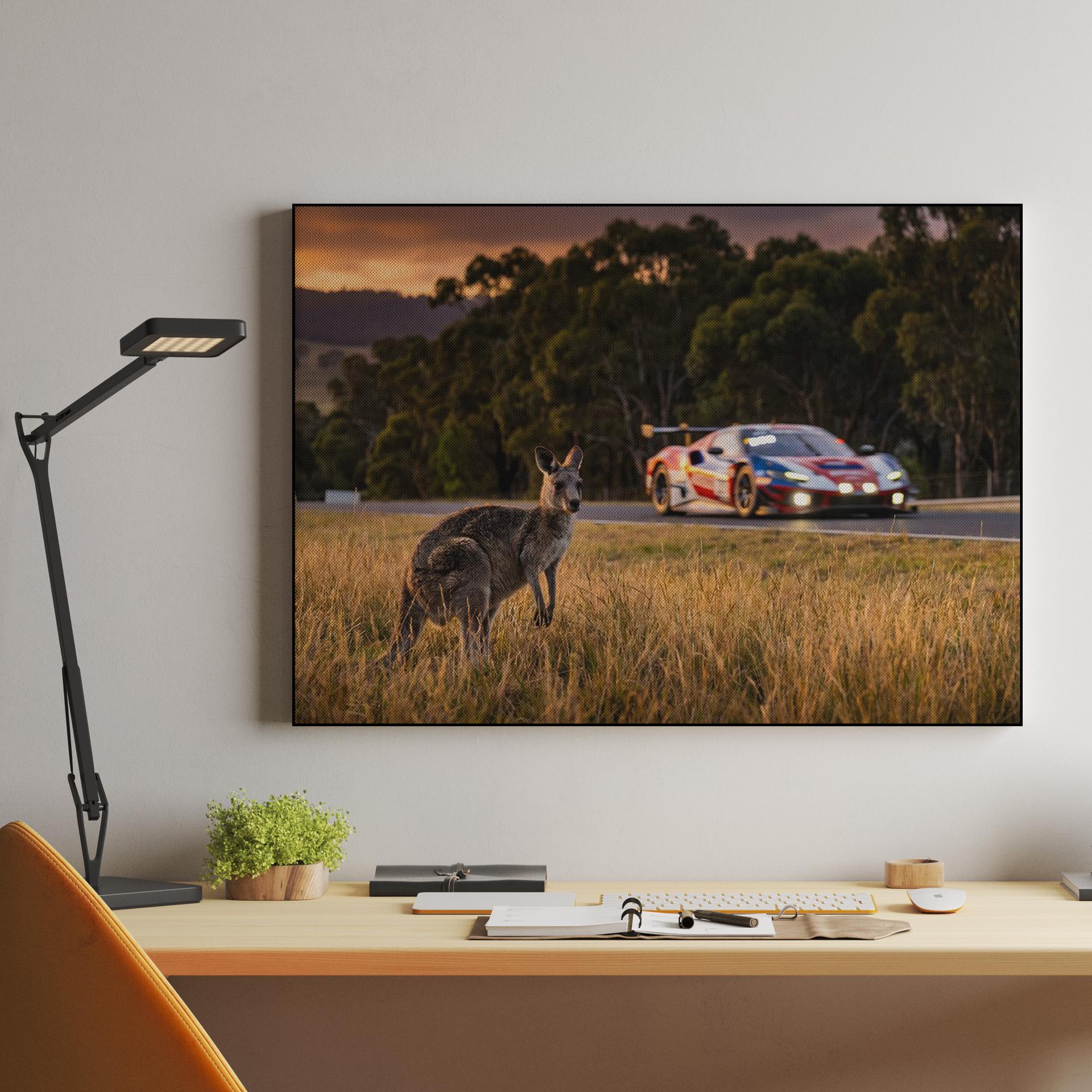 The Mountain Resident: Kangaroo and Ferrari at Bathurst