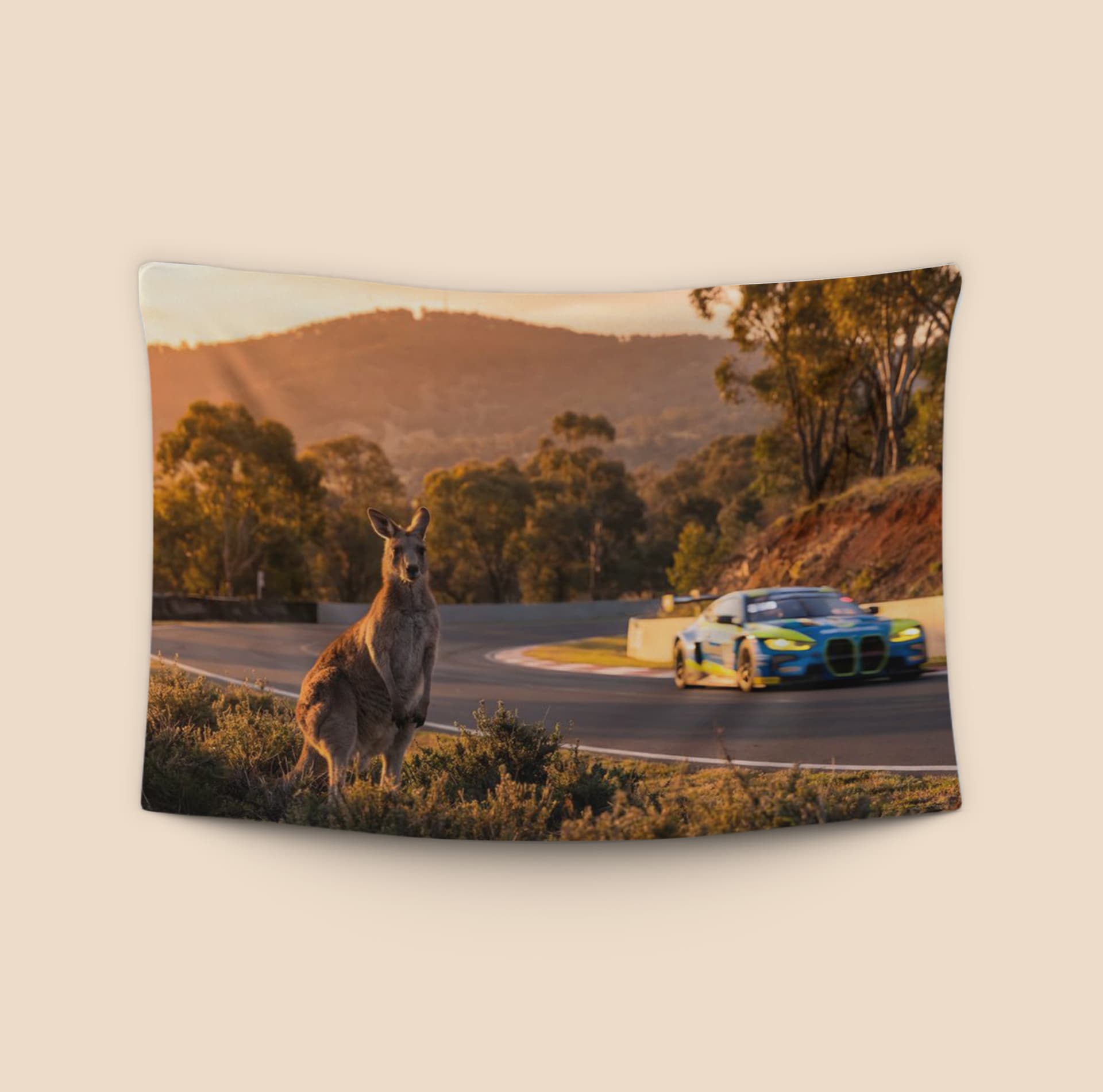 Sentinel of the Mountain