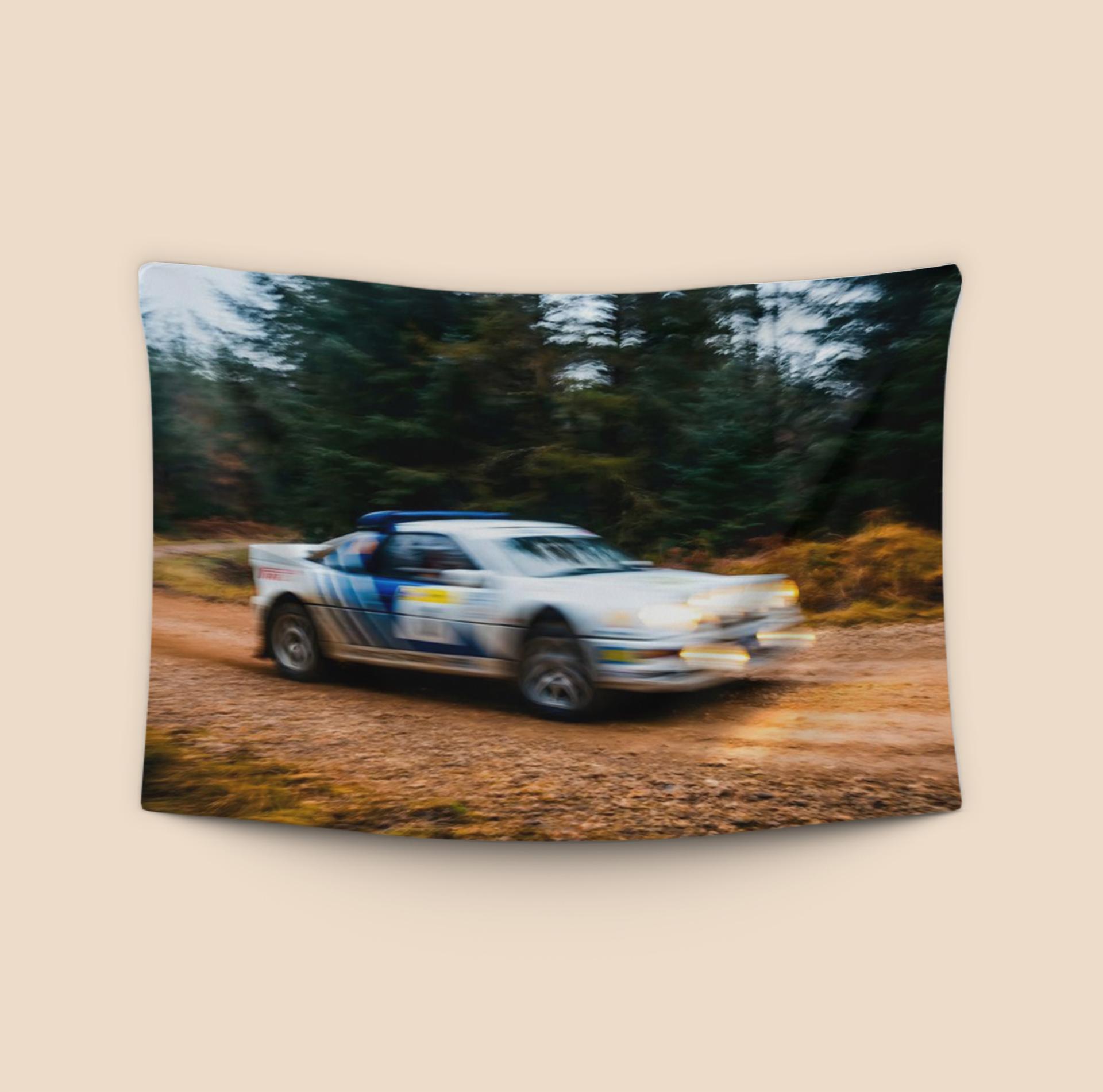 Forest Fury: Ford RS200 Group B Rally Action