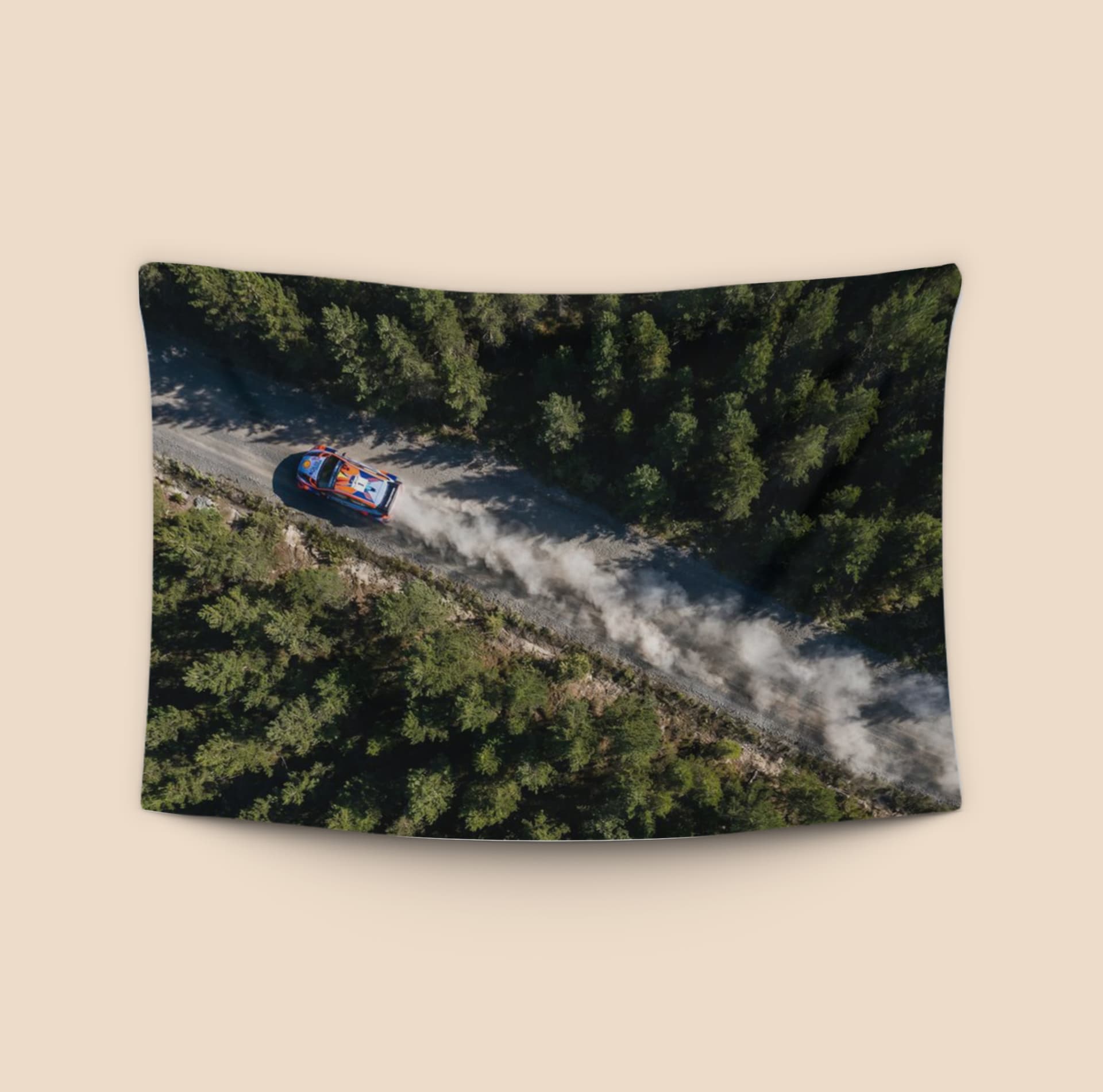 Rally Forest Dust Trail Aerial View
