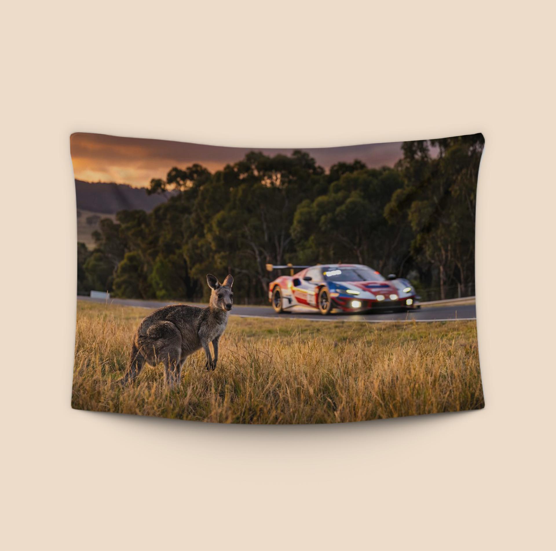 The Mountain Resident: Kangaroo and Ferrari at Bathurst