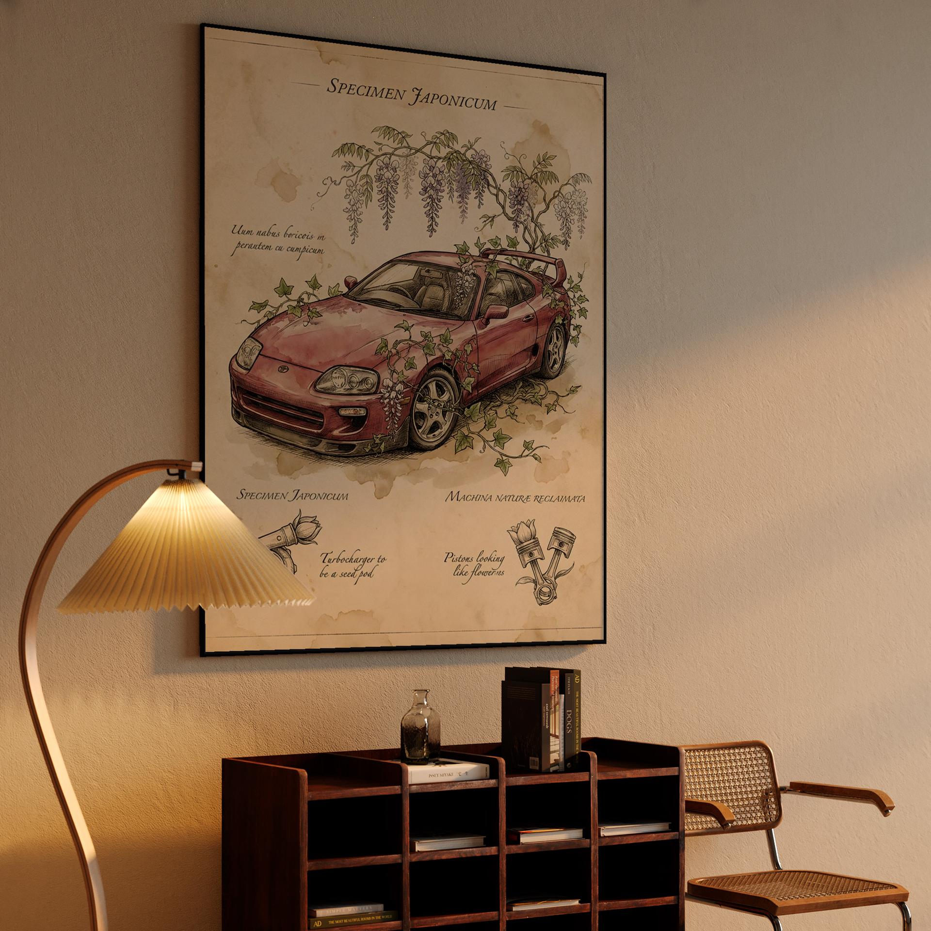 Specimen Japonicum: Reclaimed Supra Illustration