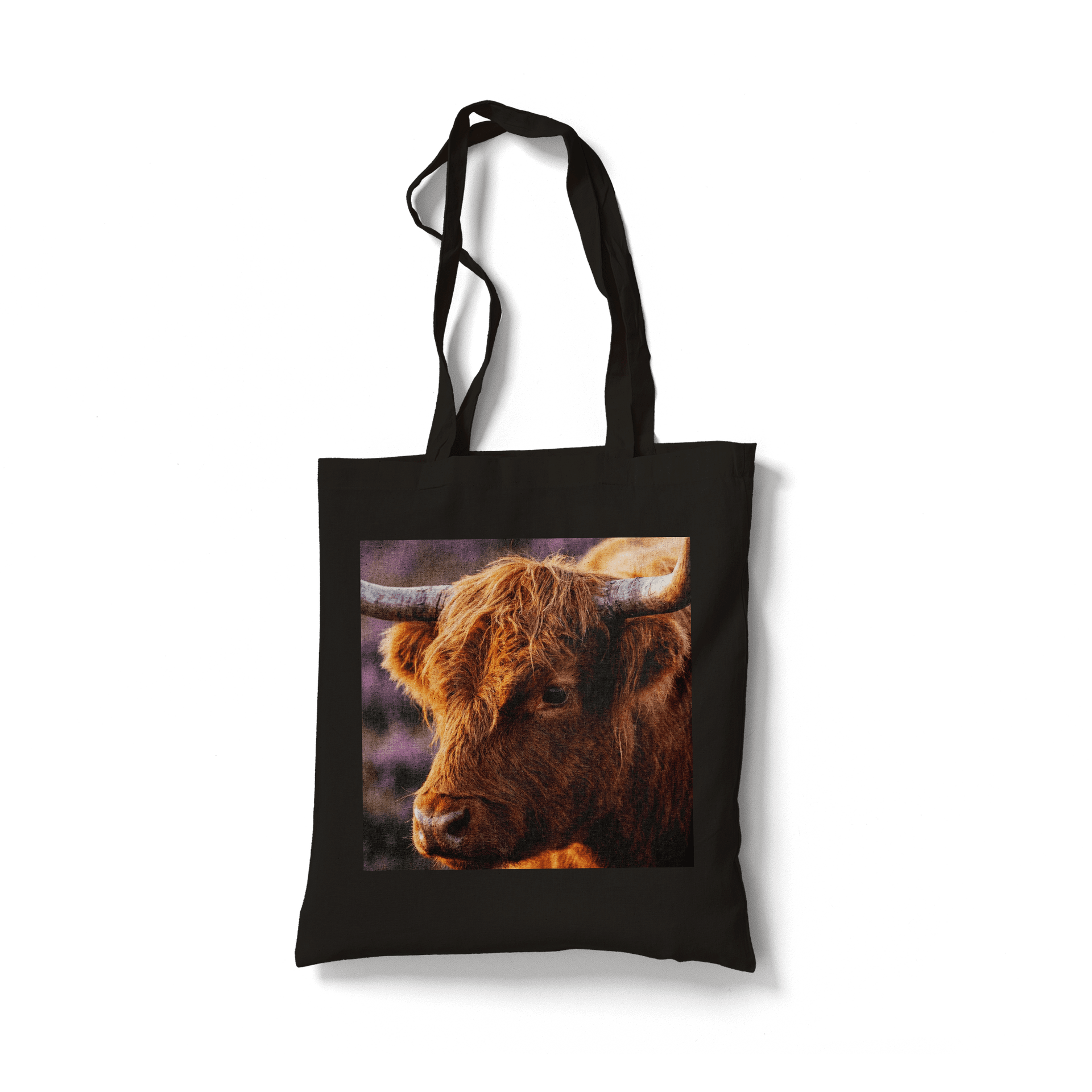 Golden Hour Highland Cow: Scottish Animal Portrait