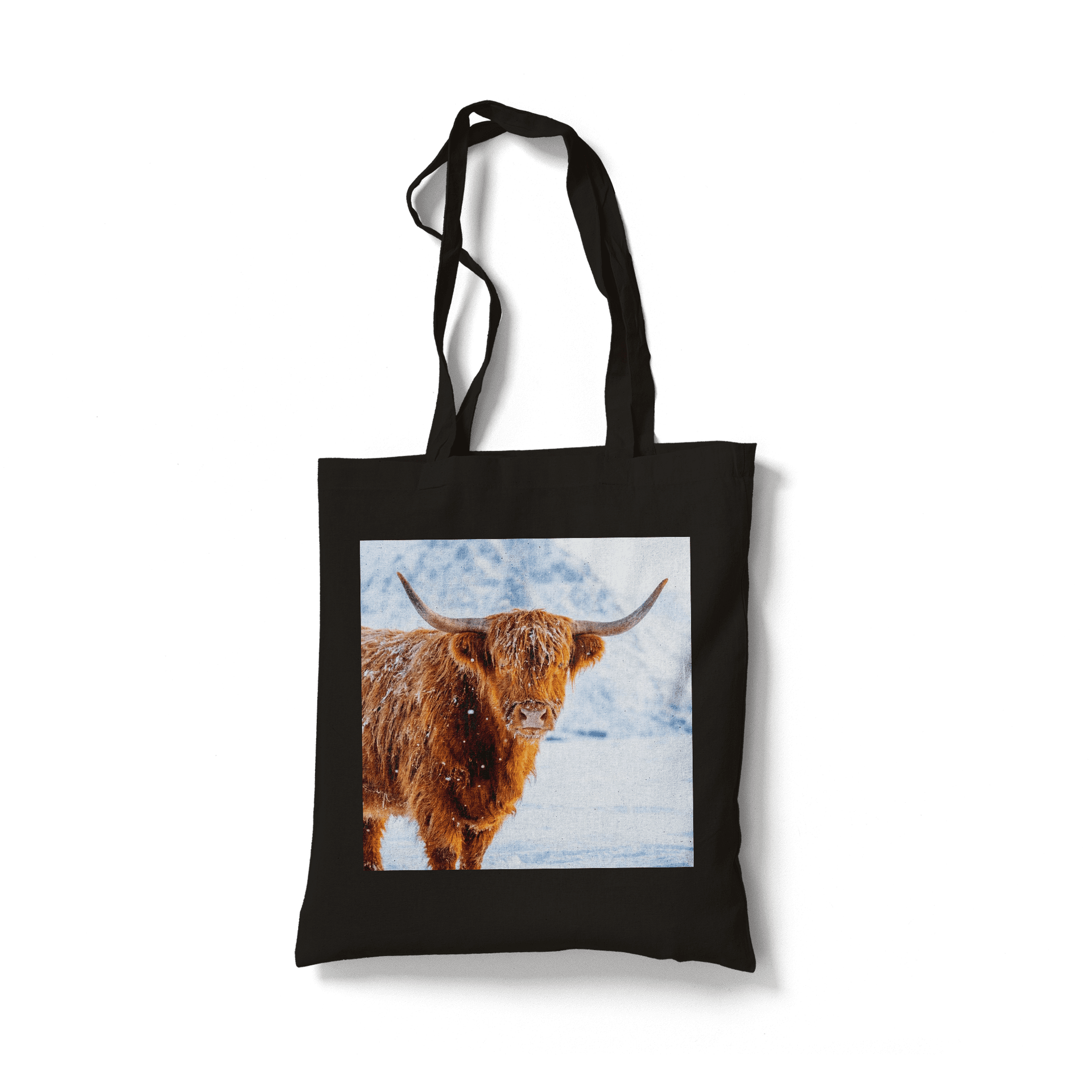 Winter Highland Cow: Snow-Dusted Scottish Portrait