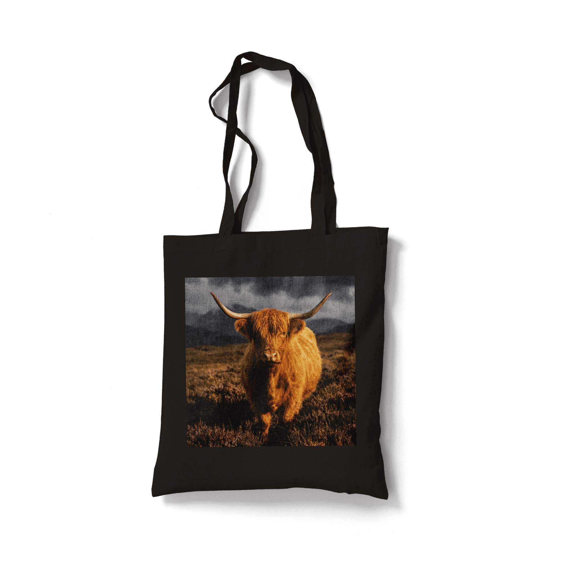Golden Hour Highland Cow: Scottish Animal Portrait