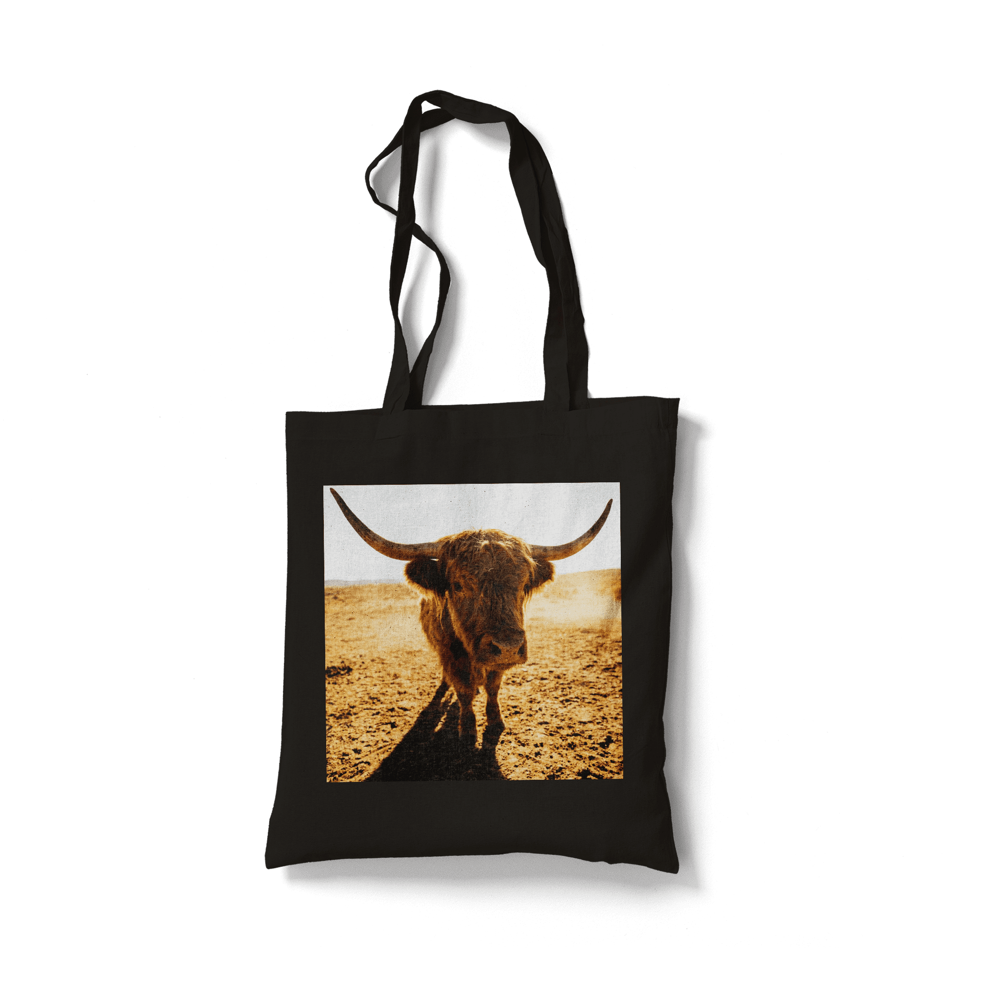 Dusty Golden Ranch: Highland Cow Portrait