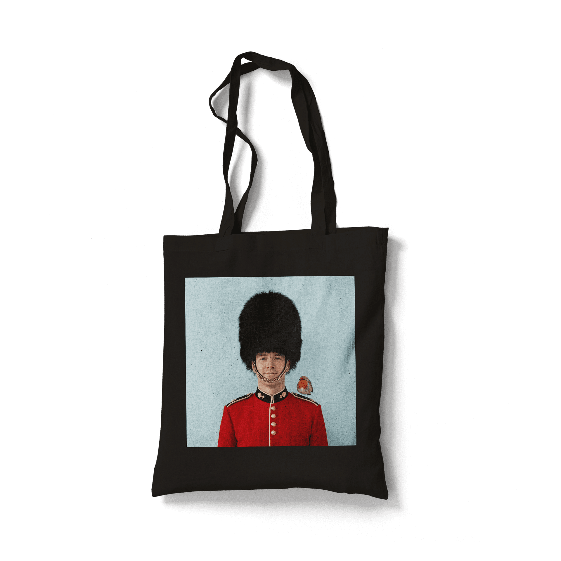 The Guard's Gentle Friend: British Guard with Robin