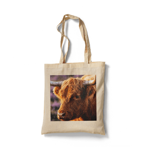 Golden Hour Highland Cow: Scottish Animal Portrait wall art poster
