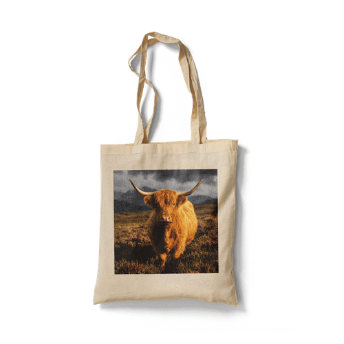 Tote-bag