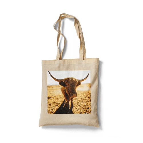 Dusty Golden Ranch: Highland Cow Portrait wall art poster