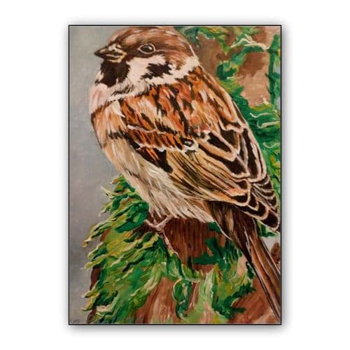 Sparrow wall art poster