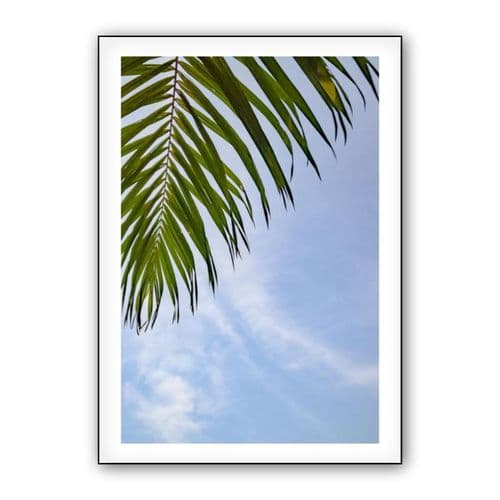 "A Green Palm Grove with the Blue Sky" wall art poster