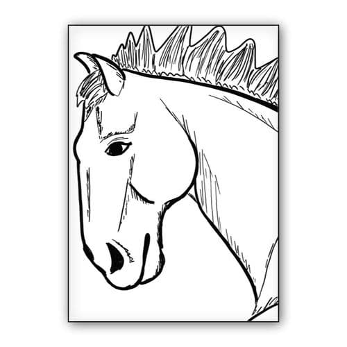 Black and white, horse head wall art poster