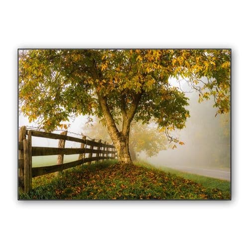 Misty tree wall art poster
