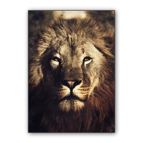 Lion wall art poster