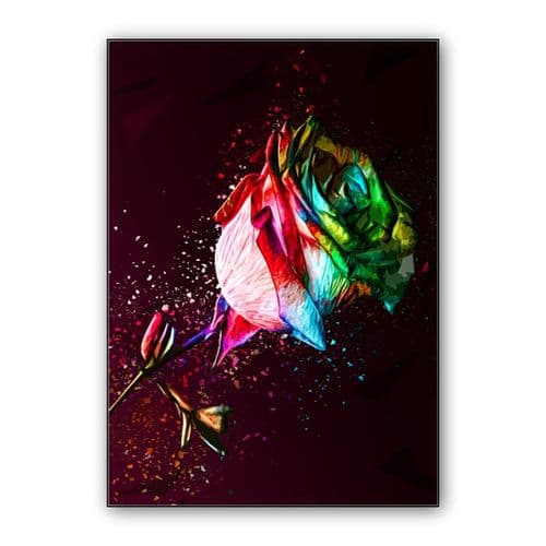 Colored Rose wall art poster