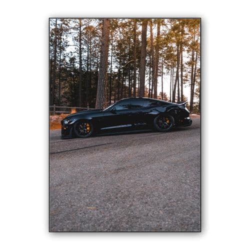 Ford Mustang Shelby GT500 wall art poster