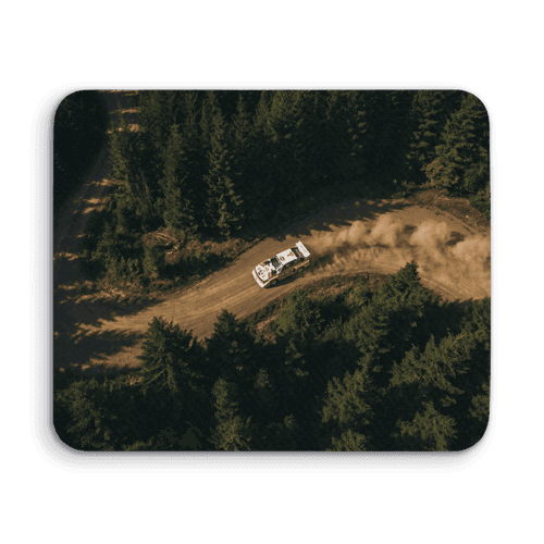 Group B Legend: Audi Sport Quattro S1 Forest Drift wall art poster