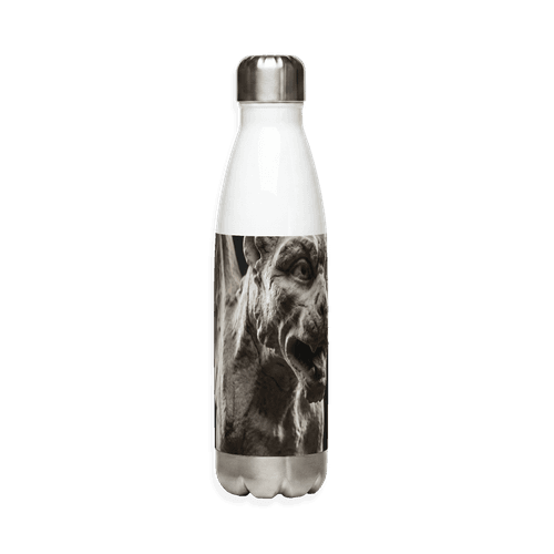 Stainless-steel-bottle