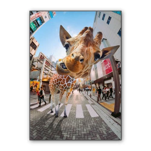 Gireffey  wall art poster