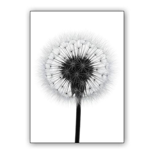 Dandelion Silhouette wall art poster