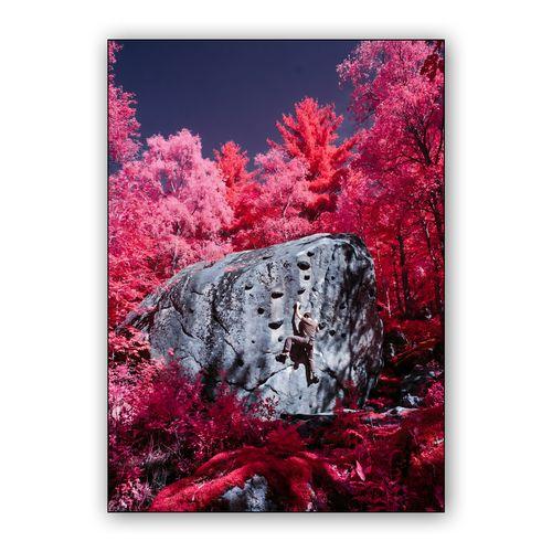 Magenta Ascent: Surreal Infrared Bouldering wall art poster
