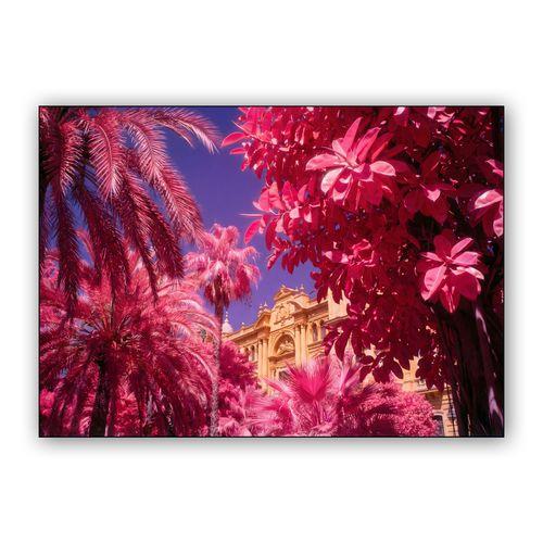 Magenta Palms: Infrared Málaga City Hall wall art poster