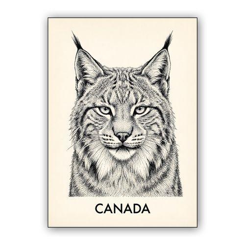 Canadian Lynx Stippling Illustration wall art poster